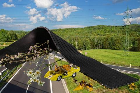 Culture for Climate/ Kultura dla Klimatu