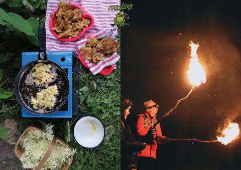 NA DIVJE/Into the Wild