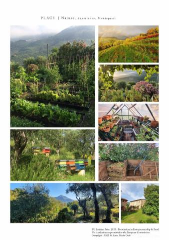 Learning Biomimicry for Sustainable Food