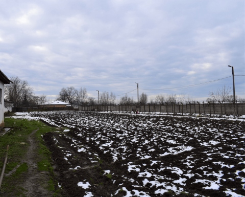 Permablitz at Jilava Penitentiary