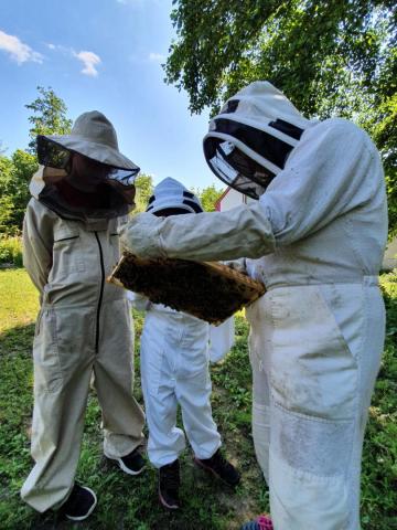 Excursion on a bee farm