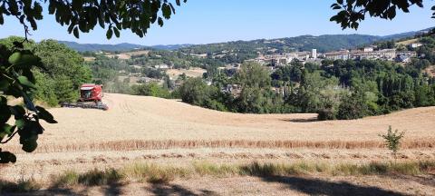 Pietralunga - The Green Lung of Umbria