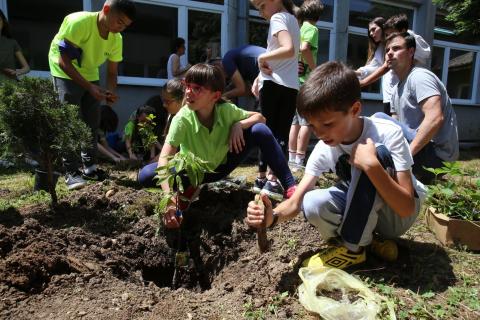 Sowing the Seeds for a Brighter Future