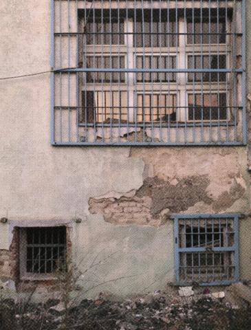 To Meet Galileo on Day Fourteen