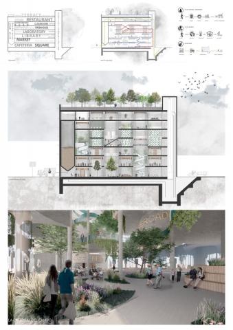 Silos, Catedrales del Campo