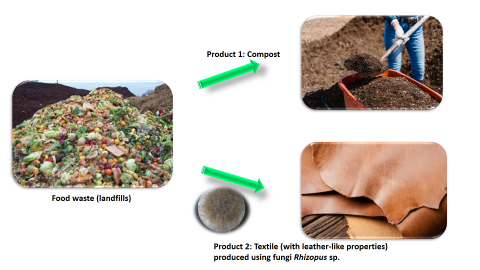 From food waste to new products