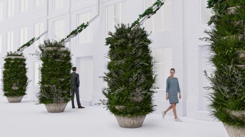 THE URBAN TREE