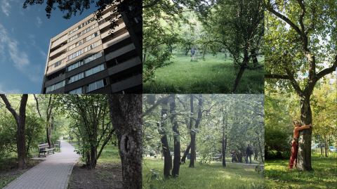 CITY/NATURE