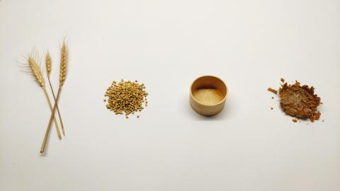 New home compostable biomaterial