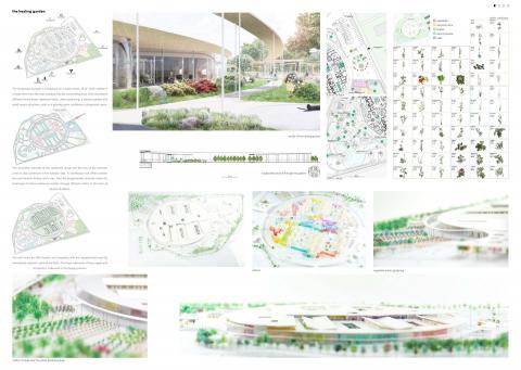 Landscape Curativa