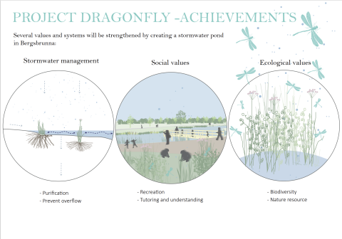 Project  Dragonfly
