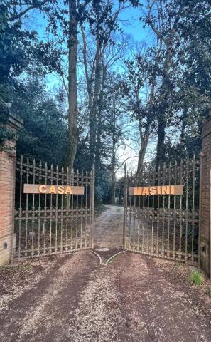 Riaprire il cancello