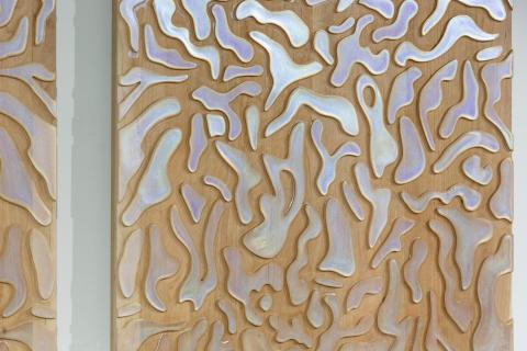 Shimmering Wood Monomaterials by SCS