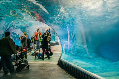 BIOTOPEHUB