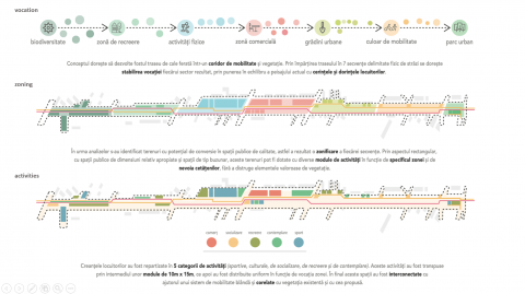 The Line Project