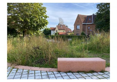 Contemporary Garden City
