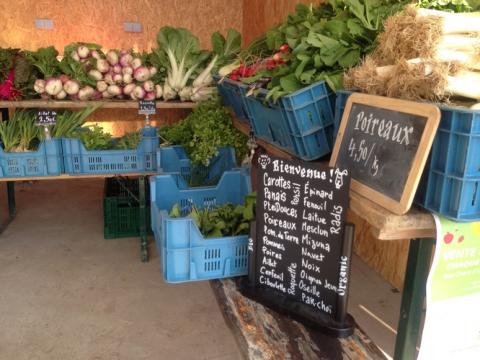 Espace test agricole "Graines de Paysans