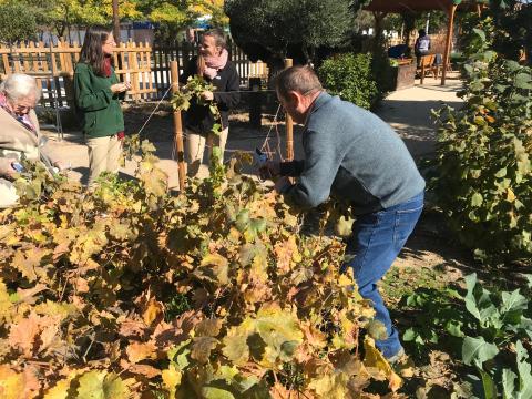"The senses" therapeutical garden 