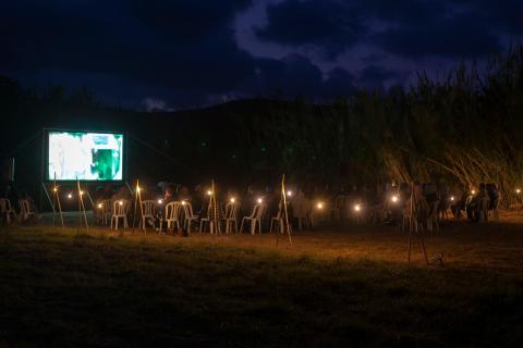 Film Seed Festival 