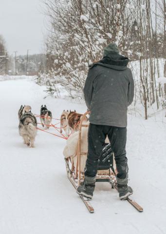 Greenways: Re-connect and explore nature