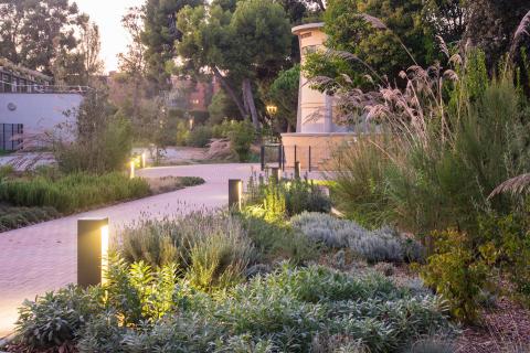 RECOVERY OF THE INDUSTRIAL GARDEN