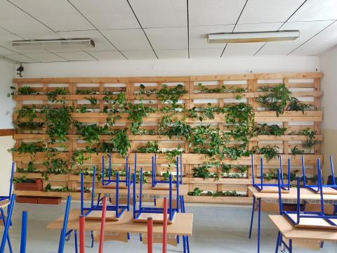 Green Wall 