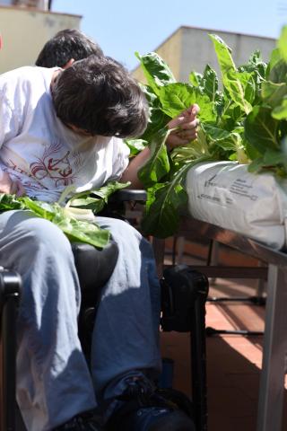 Awarded Rooftop Garden