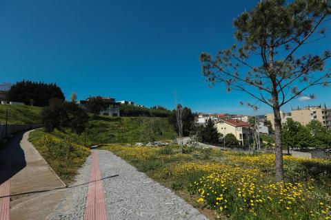 Camellia Urban Park 