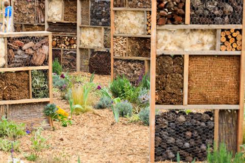 Pollinators don't care