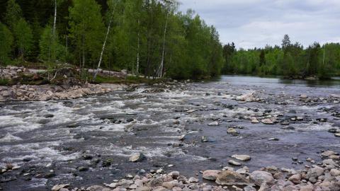 Open river Hiitolanjoki for All