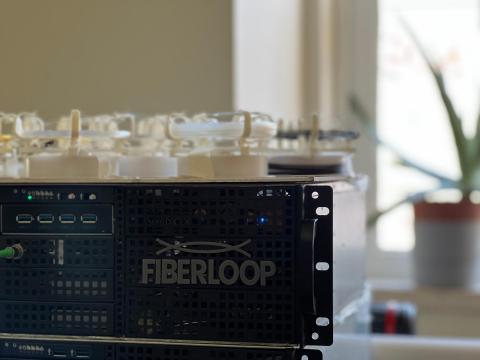 FiberLoop 