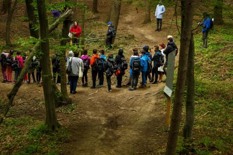 Awarded Făget Forest Park; Cluj's Green Lung 