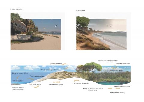 The sea's heartbeat along the coastline
