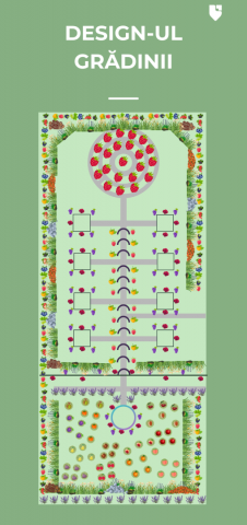 Permablitz in Cavadinesti