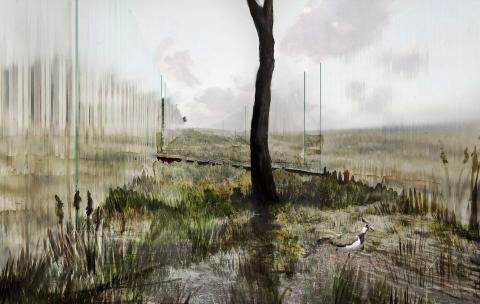 Piety biocenter - ecologic burial ground