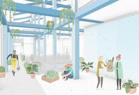 Insect farm
