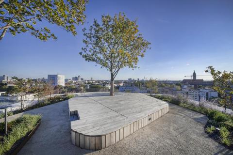 Roof Garden Darwinstraße