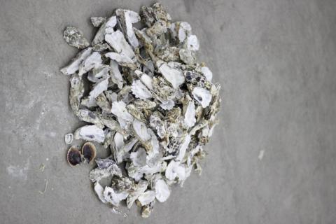 CONQ - Marine biobased materials