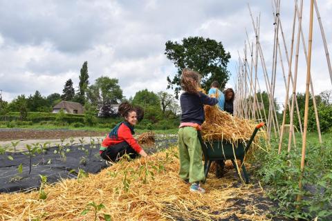 Ghent's Land: History and Future