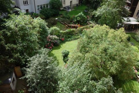 Haus der Commons