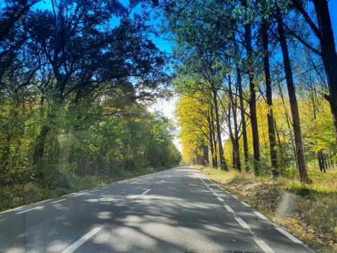 RASINARI A FLOURISHING VILLAGE