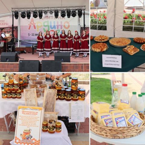 "Sustainable revitalization of Ardino"