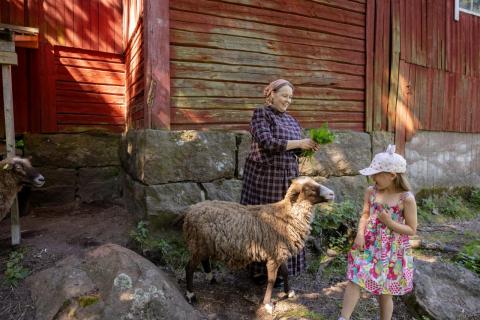 Regenerative Revival of Local Museum