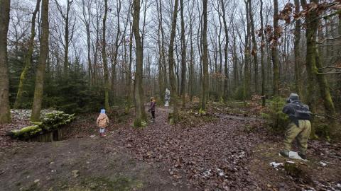 The Boulaide Digital Project