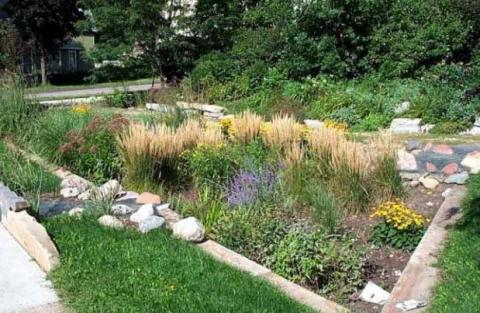 Climate Action River Park