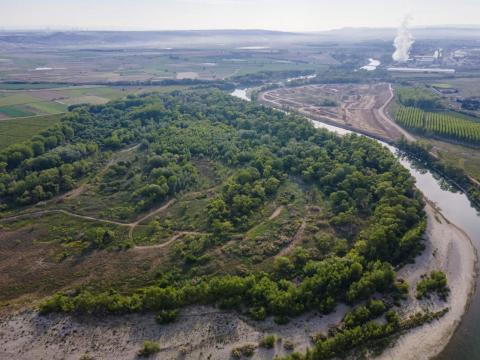 ALFARO LOCAL ACTION PLAN