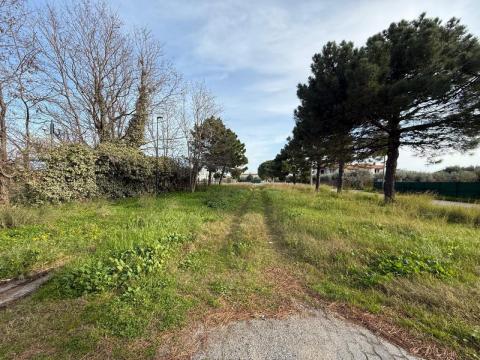 CREATION OF EQUIPPED ZEN AREA