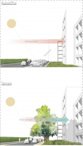 Lamoustey district development