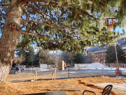 ReCreation of a natural open space