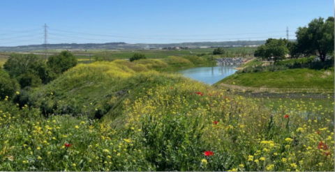 Green areas to stop climate change
